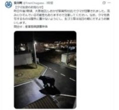 町が公式Xに投稿のクマ画像「生成AIフェイク」だった 注意喚起もその後 偽物と判明「作成者本人から申し出」　宮城・女川町