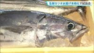 稀にみる不漁から復活　カツオ水揚げ本格化　旬の味を堪能　仙台市中央卸売市場