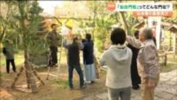 一般的な“門松”とはどう違う？「仙台門松」講習会を青葉神社で開催 正月の風景復活へ 仙台