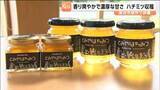 「「フレッシュ・濃厚な甘さ」に仕上がる！市役所の屋上で作ったハチミツの採蜜　宮城・富谷市」の画像1