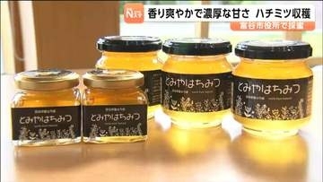 「フレッシュ・濃厚な甘さ」に仕上がる！市役所の屋上で作ったハチミツの採蜜　宮城・富谷市