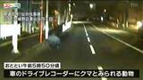 「26日夜も仙台市中心部でクマの目撃相次ぐ 同一個体か 川沿いを上流に移動した可能性も」の画像1