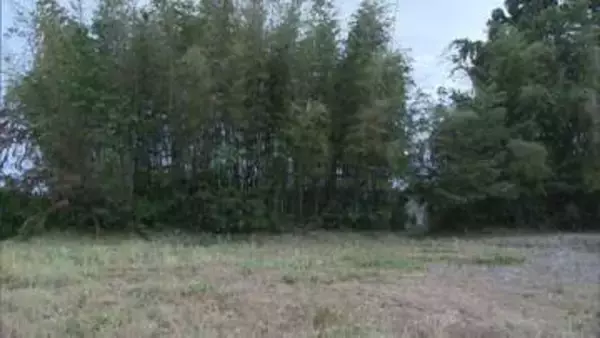 「のこぎりにはクマの毛が・・・」家の裏山にクマ　追い払おうとした70代の女性が転んで骨折　宮城・大崎市