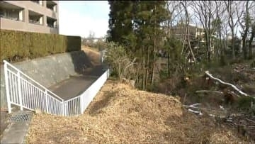 【クマ目撃情報】住宅地の歩道で体長60㎝のクマ2頭目撃される　仙台