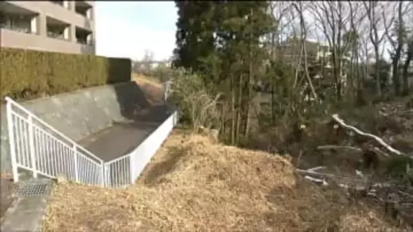 【クマ目撃情報】住宅地の歩道で体長60㎝のクマ2頭目撃される　仙台