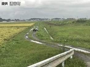 【クマ目撃情報】田んぼを歩くクマ1頭　警察・役場が警戒　宮城・涌谷町