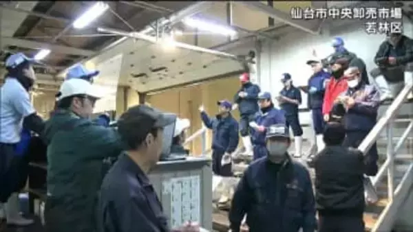 「年末商材は高値で推移」仙台市中央卸売市場で今年最後の競り　正月や年越しの食卓彩るマグロやナメタガレイ取り引き