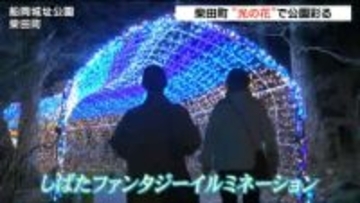 年末恒例「しばたファンタジーイルミネーション」12月30日まで開催中　15万球の光が冬の夜を彩る　宮城・柴田町