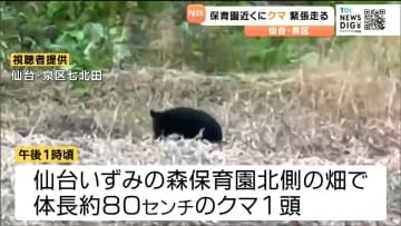 仙台の保育園近くにクマ出没で一時緊張走る　園児が外に出られず・麻酔銃は逃げられ箱わな設置へ