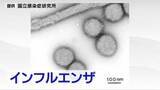「年末年始の休診終わりインフルエンザ急増 7週ぶりに増加し1機関あたり9.67人 流行本番へ感染対策の徹底呼びかけ 宮城県」の画像1