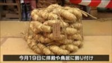 長さ11メートル重さ50キロの大しめ縄づくり　正月迎える準備進む　宮城・塩釜神社