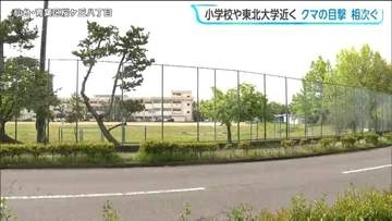 「小学校のフェンスを越え敷地内にクマが入っていった」新聞配達していた人がクマを目撃　東北大学近くでも...仙台