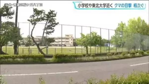 「小学校のフェンスを越え敷地内にクマが入っていった」新聞配達していた人がクマを目撃　東北大学近くでも...仙台