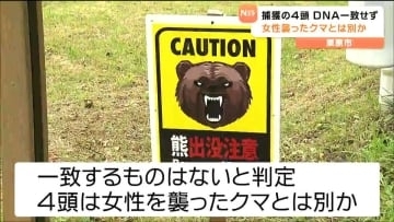 捕獲のクマ４頭DNA一致せず 死亡した女性襲ったクマとは別の個体か　宮城・栗原市