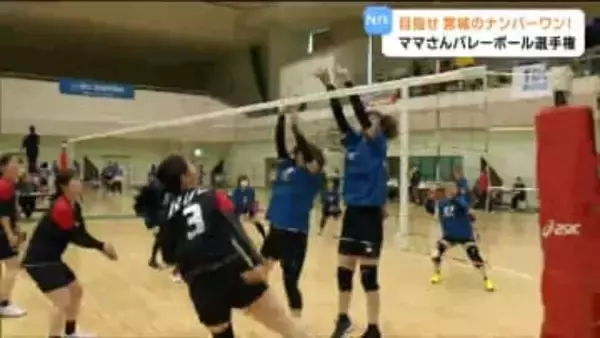 豪快なスパイクや粘り強いプレーで熱戦！宮城県ママさんバレーボール選手権 宮城・富谷市