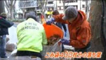 「きれいだなと思ってもらえるように」SENDAI光のページェントに向けボランティアが定禅寺通を清掃