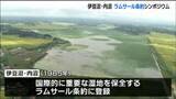「伊豆沼・内沼『ラムサール条約』登録40周年記念シンポジウム　宮城・栗原市」の画像1
