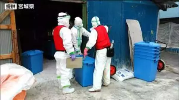 「アヒル約8170羽の殺処分完了　高病原性鳥インフル発生の宮城・角田市内の農場」の画像