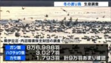 飛来ピークで宮城県内一斉に冬の渡り鳥生息調査 マガンやハクチョウ約9万羽が飛来で例年並み