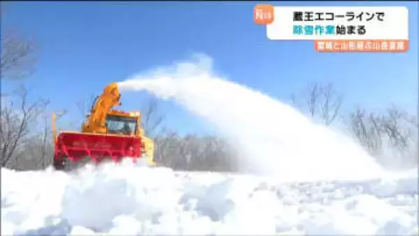 宮城・蔵王エコーラインで除雪作業開始　最大積雪8m　4月24日開通へ向け「綺麗な雪の壁を」