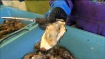 蒸しガキ3000個振る舞う　「牡蠣祭り」にぎわう　宮城・南三陸町