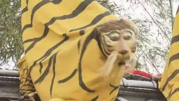 650年の伝統！　初午まつりで火伏せの虎舞披露　宮城・加美町