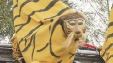 650年の伝統！　初午まつりで火伏せの虎舞披露　宮城・加美町