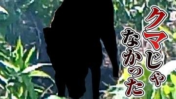 クマじゃなかった！猟師の担い手不足と獣害1200万円 高齢化進む集落が竹わなづくりで立ち向かう問題とは