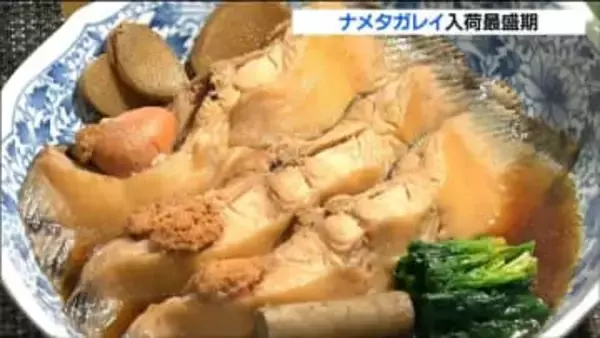 「柔らかくておいしい」年末には煮つけで食べられる縁起物 "ナメタガレイ" 入荷最盛期迎える　仙台市中央卸売市場