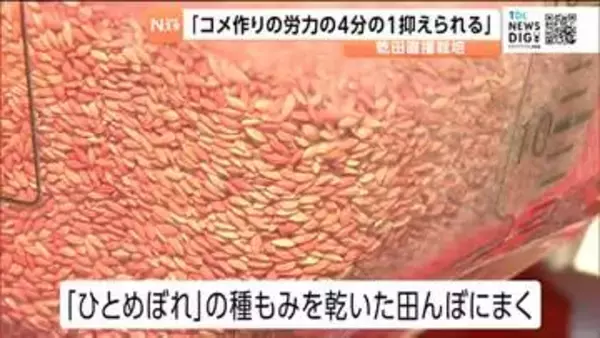 苗作り不要で労力を大幅削減する最新のコメ作り　直接種を撒く「乾田直播」栽培を学ぶ　宮城・色麻町