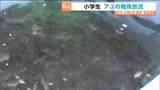 「「稚魚は黒かった」小学生がアユの稚魚放流を体験　宮城・川崎町」の画像1