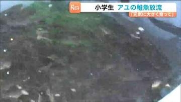 「稚魚は黒かった」小学生がアユの稚魚放流を体験　宮城・川崎町