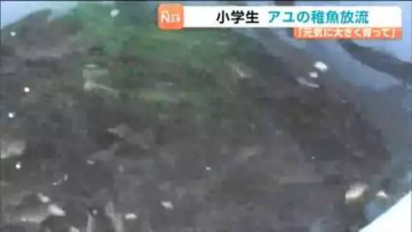 「稚魚は黒かった」小学生がアユの稚魚放流を体験　宮城・川崎町