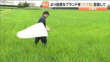 「いつ食べてもおいしいと言われるように」ブランド米の栽培講習会　宮城・大崎市