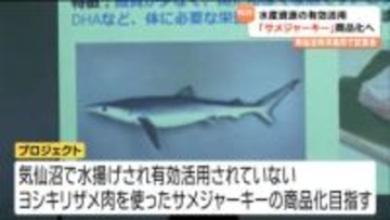気仙沼産のサメ肉を使った「サメジャーキー」高校生試食会・アイデアから商品名を決め2026年春発売　宮城