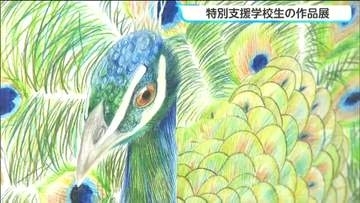 羽を一本一本丁寧に…圧巻のクジャクとフクロウの絵 特別支援学校の子どもたち630点の作品展が開幕　宮城・大崎市