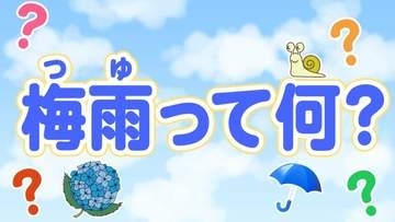 そもそも「梅雨」の定義は？？意外とざっくり！