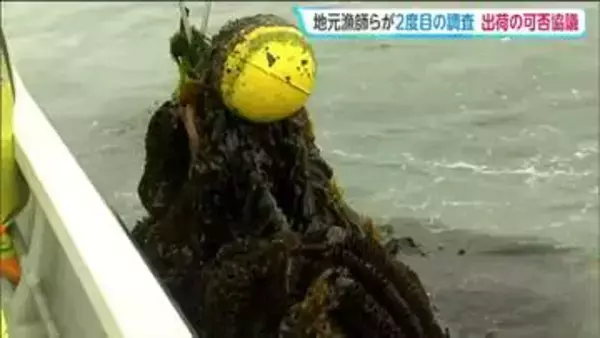 「宮城海保の巡視船から重油流れ「あすからどうやって生活していけば」漁師らが2度目の調査　宮城・塩釜市」の画像