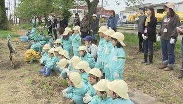 「ユラユラするところが大変だった」園児が収穫を体験！ゆらゆらする農作物って何でしょう