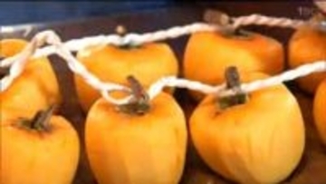 電車に乗って「干し柿」づくりへ行こう！ローカル鉄道の利用客増加へ初めての体験会　宮城・丸森町