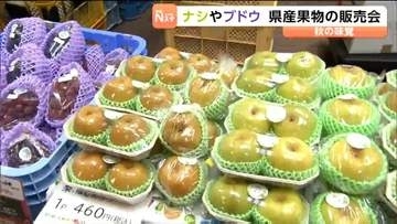 ナシにブドウ、イチジクまで　宮城県産フルーツの旬をまるごと楽しめる催しが県庁で