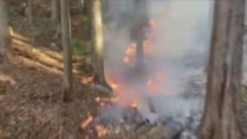 秩父の山林火災　埼玉県　自衛隊に災害派遣を要請