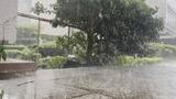 「埼玉県内各地で激しい雨　土砂災害に警戒を」の画像1