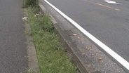 市道で事故　自転車の女性死亡／埼玉県春日部市