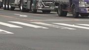 日高市　歩行者が大型トラックにはねられ死亡／埼玉県