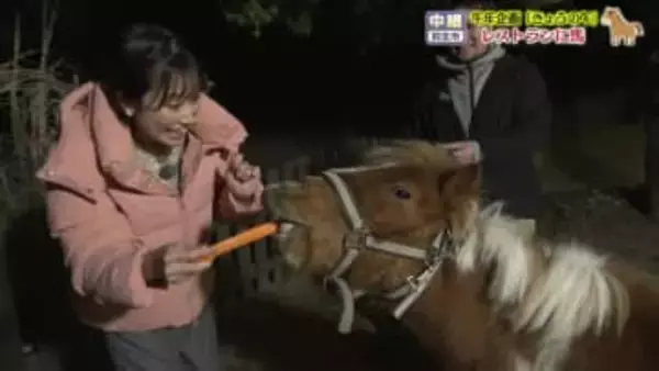 午年企画「きょうの午」レストランに馬が登場！？