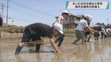 「さいたま市立植水小学校　児童が海外支援米の田植え／埼玉県」の画像1