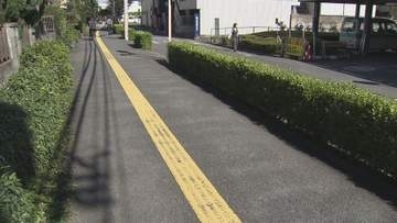 草加市で相次ぐ　２人組がスプレー噴射し現金奪う／埼玉県