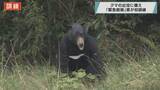 「クマの出没に備え 「緊急銃猟」埼玉県が初訓練」の画像1