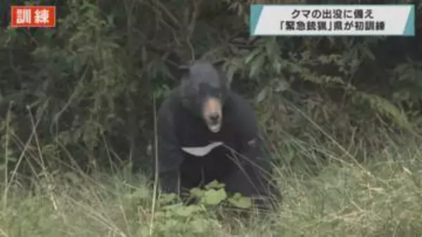 クマの出没に備え 「緊急銃猟」埼玉県が初訓練